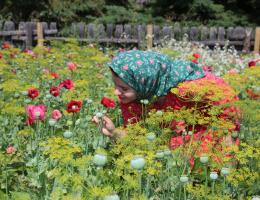 A young woman wearing a red dress in a garden full of poppies and dill