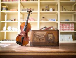 Violin in Wostok Hardware Store